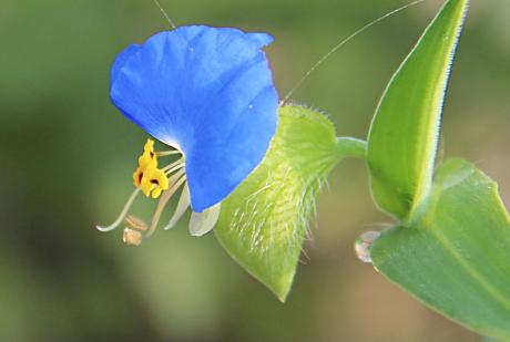 1618993752690868.jpg 微信图片_20201013102249.jpg