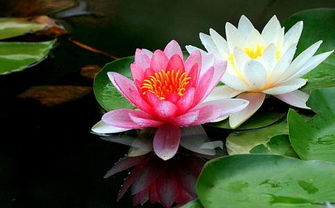 1618997032486117.jpg 50.jpg