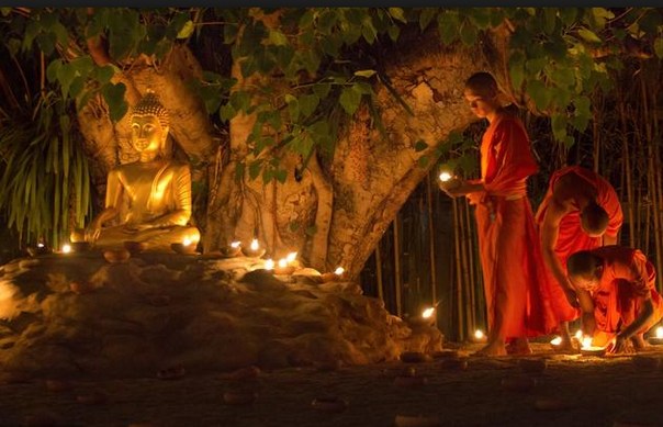 1618997247336796.jpg 55.jpg