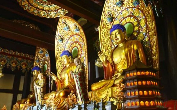 1619051888916511.jpg 77.jpg