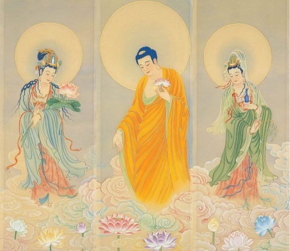 1619051980777254.jpg 79.jpg