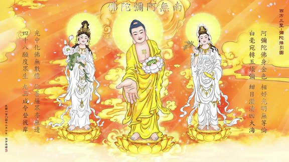 1619052468641051.jpg 81.jpg