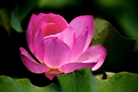 1619052707785207.jpg 84.jpg