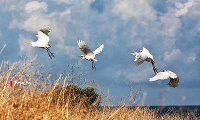 1619053374971366.jpg 微信图片_20201013113703.jpg