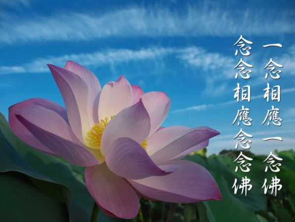 1619139664739251.jpg 1.jpg