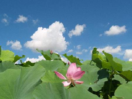 1619141059474028.jpg 41.jpg