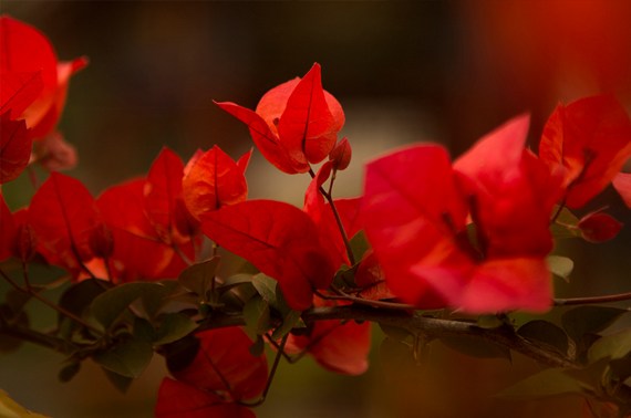 1619141334177393.jpg 51.jpg