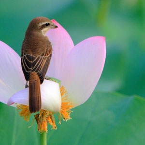 1619141606770917.jpg 59.jpg