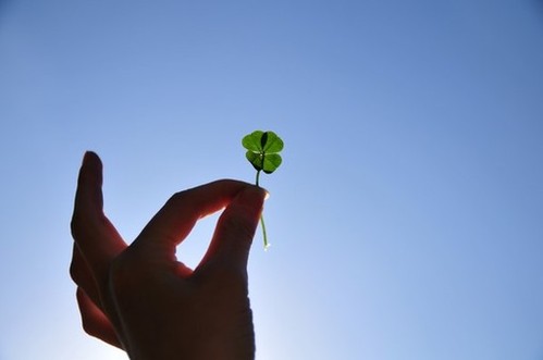 1619141616155206.jpg 62.jpg