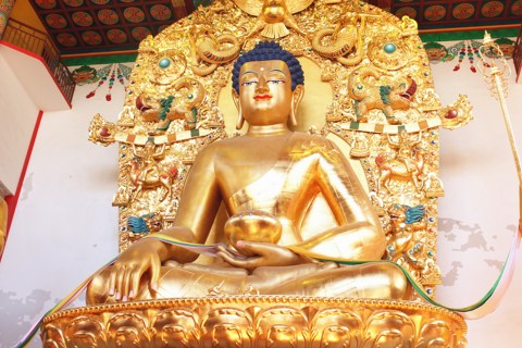 1619141627517419.jpg 61.jpg