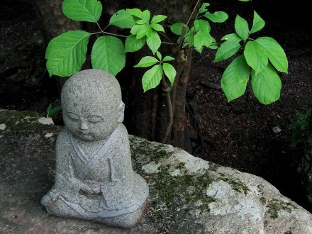 1619141689227605.jpg 70.jpg