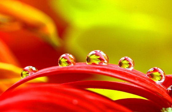 1619142106927876.jpg 22.jpg