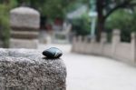 你是人吗