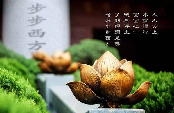 1619575415442128.jpg 16.jpg