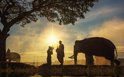 1619575562152028.jpg 21.jpg