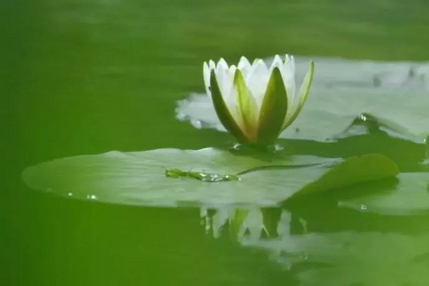 1619576233372138.jpg 34.jpg