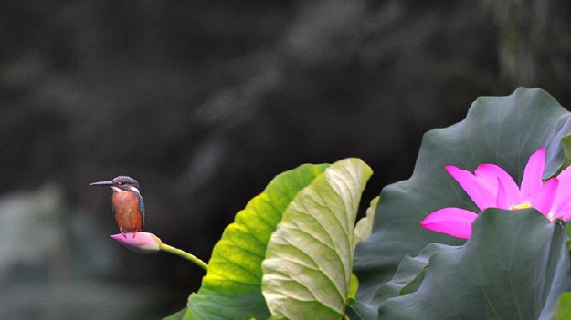 1619576366487870.jpg 37.jpg