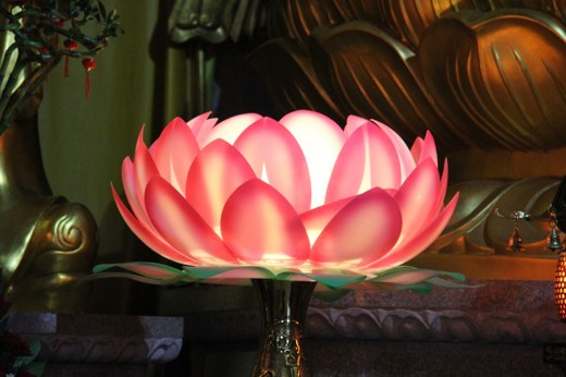 1620261880113966.jpg 4.jpg