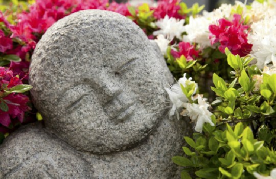 1620261938621918.jpg 6.jpg