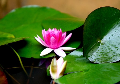 1620261993978509.jpg 7.jpg