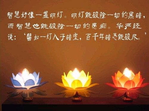 1620262002200542.jpg 8.jpg