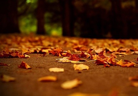 1620262022627826.jpg 10.jpg