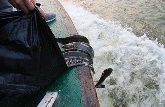 1620262047778681.jpg 12.jpg