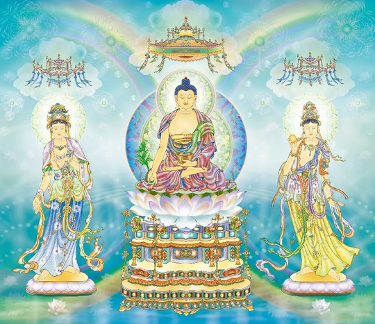 1620262069448912.jpg 15.jpg