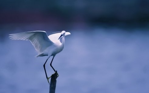 1620273288990233.jpg 微信图片_20200921083651.jpg