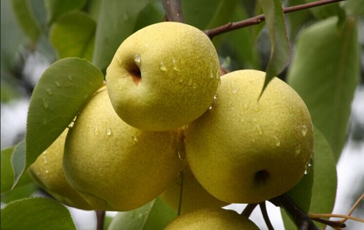 1620279769798050.jpg 28.jpg