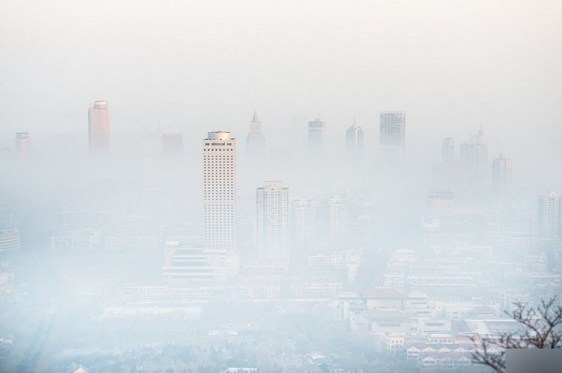 1620280577140798.jpg 39.jpg