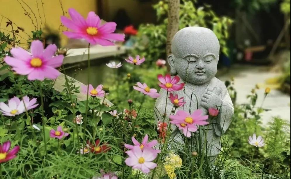 1620280744536422.jpg 微信图片_20201007105035.jpg