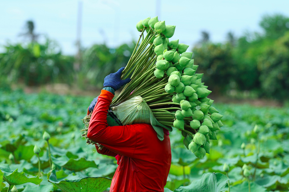 1620281617556926.png 微信图片_20201007160258.png