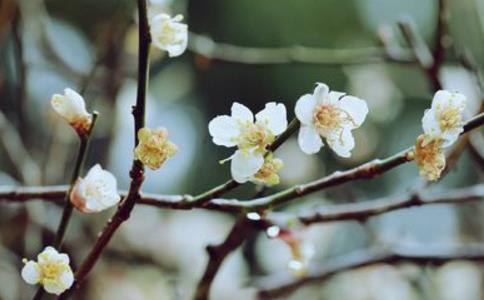 1620282786926058.jpg 微信图片_20200928094137.jpg