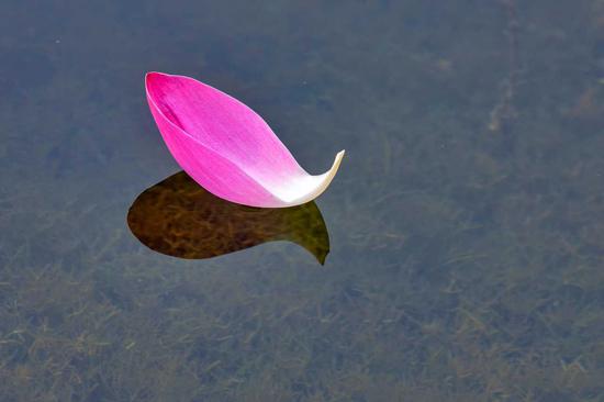 1620284646675217.jpg 21.jpg