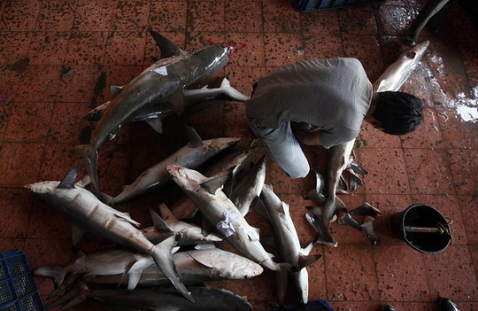 1620284905153264.jpg 84.jpg