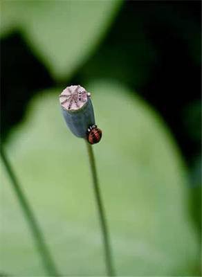 1620285576947401.jpg 2.jpg