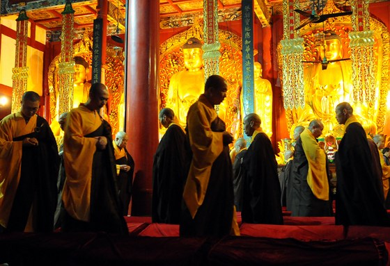 1620287037691878.jpg 100.jpg