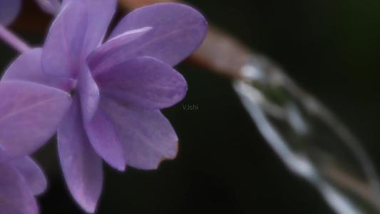 1620287226177313.jpg 66.jpg