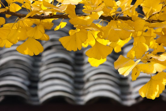 1620288302659499.jpg 21.jpg