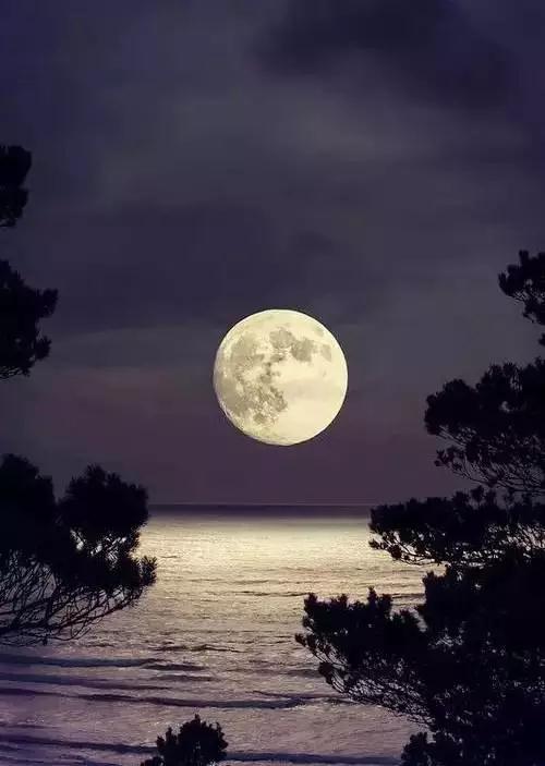 1620290884116456.jpg 57.jpg