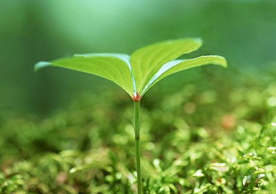 1620291325334403.jpg 28.jpg