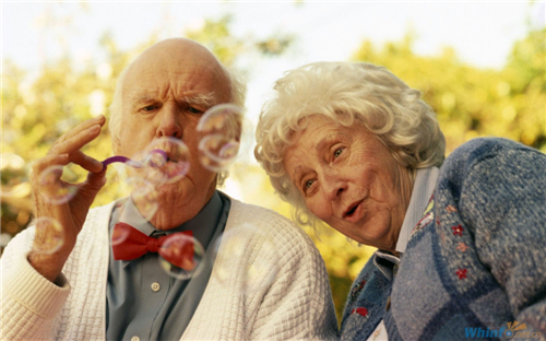 1620292300633675.jpg 41.jpg