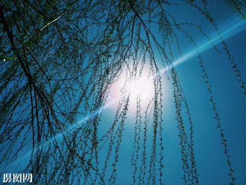 1620292736283143.jpg 36.jpg