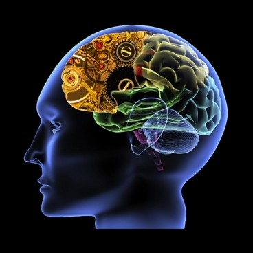 1620292958919938.jpg 50.jpg