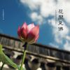 父母生前,及时尽孝