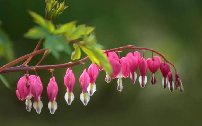 1620347986810735.jpg 37.jpg