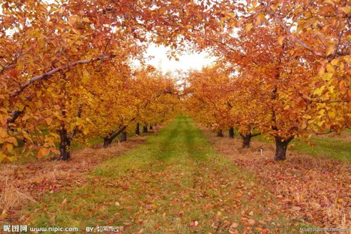 1620348024106361.jpg 86.jpg