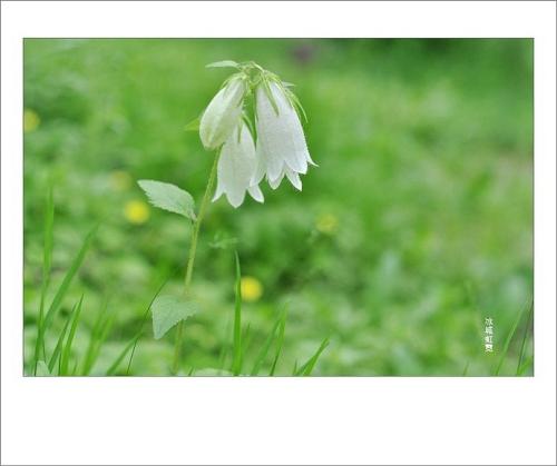 1620349858538185.jpg 55.jpg