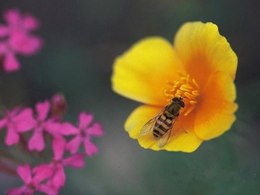 1620353801922379.jpg 4.jpg